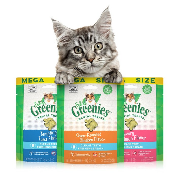 그리니즈 필라인 이빨과자 130g 3종세트 고양이 간식