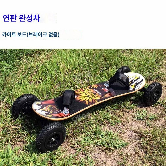 엔진 크루저 롱보드 고출력 모터 스케이트보드 입문용 전기 보드