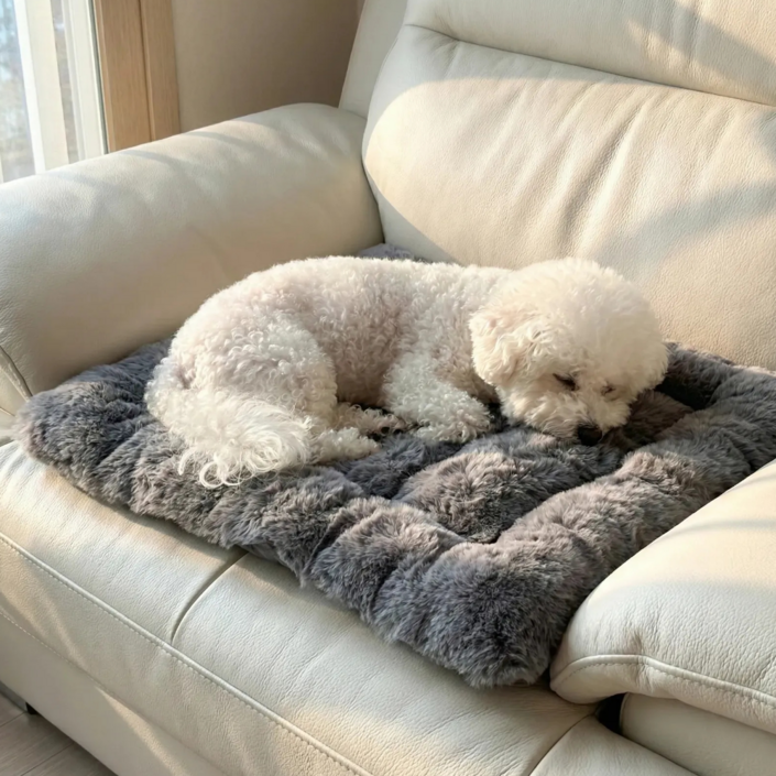 코레브 털 안빠지는 포근뽀송 통세탁 강아지 방석