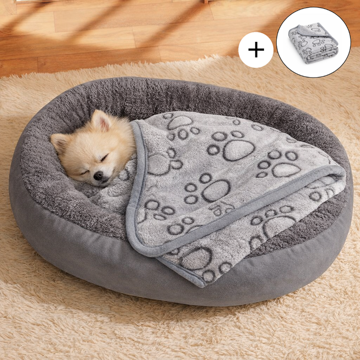 솜솜프렌즈 사계절 강아지 고양이 방석 쿠션 침대 담요 세트