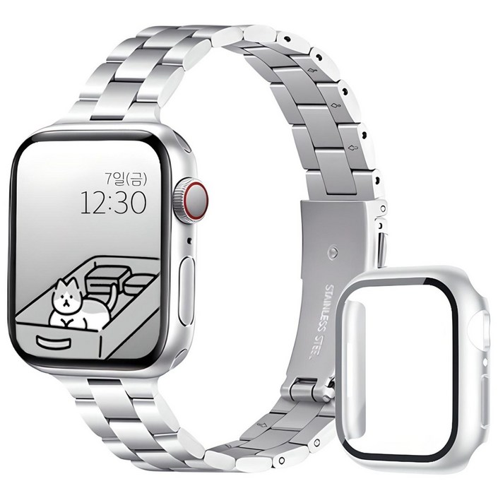 아이비온 애플워치 슬림 메탈 스트랩 40 44  풀커버 케이스 세트