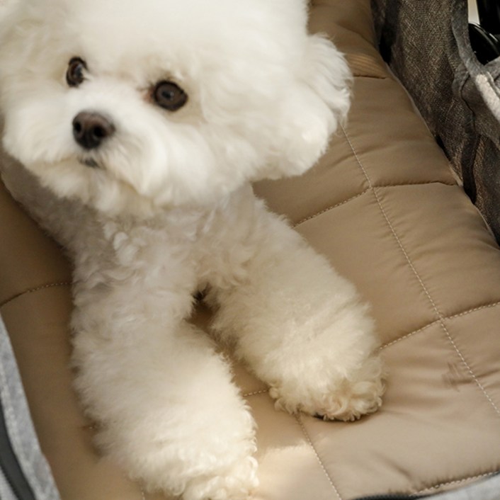 아망떼 알러지케어 다용도 방석 강아지용품