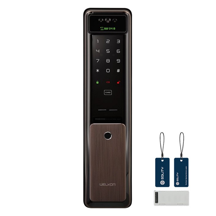 솔리티 웰콤 WiFi 얼굴인식 푸시풀 Iot 디지털 도어락 WSP-2900A PLUS, 고객직접설치, WSP-2900A PLUS
