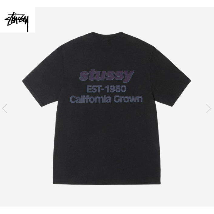 스투시 반팔티 캘리포니아 그로운 피그먼트 다이드 티셔츠 블랙