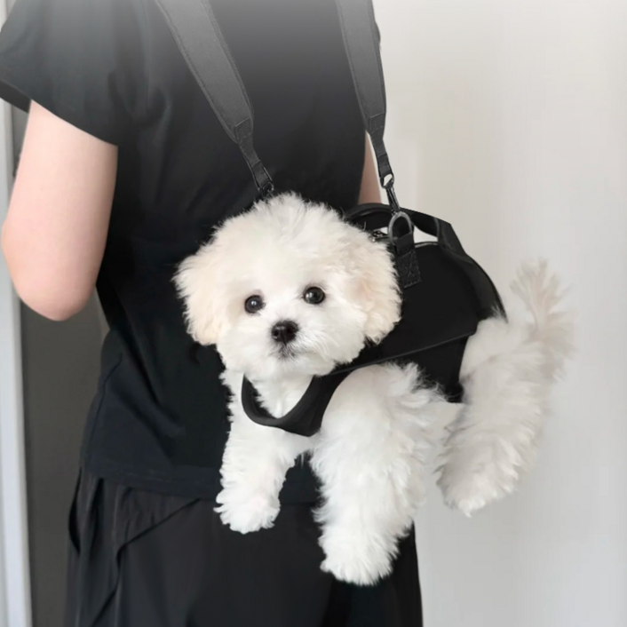 Jeernare 강아지 슬링백 애견 앞가방 백팩 강아지 포대기 반려동물 프론트백 중소형견 이동가방 고품질 버클형 앞뒤사용가능, 1세트, 블랙