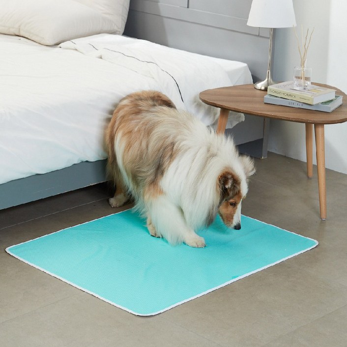 루플리 에코패드 대형 L  강아지 빨아쓰는 배변패드 친환경 배변매트, 1세트, 3개입