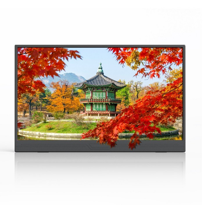 ZSUS 휴대용 모니터 게이밍모니터 15.6inch IPS FHD, PM15A, 39.6cm