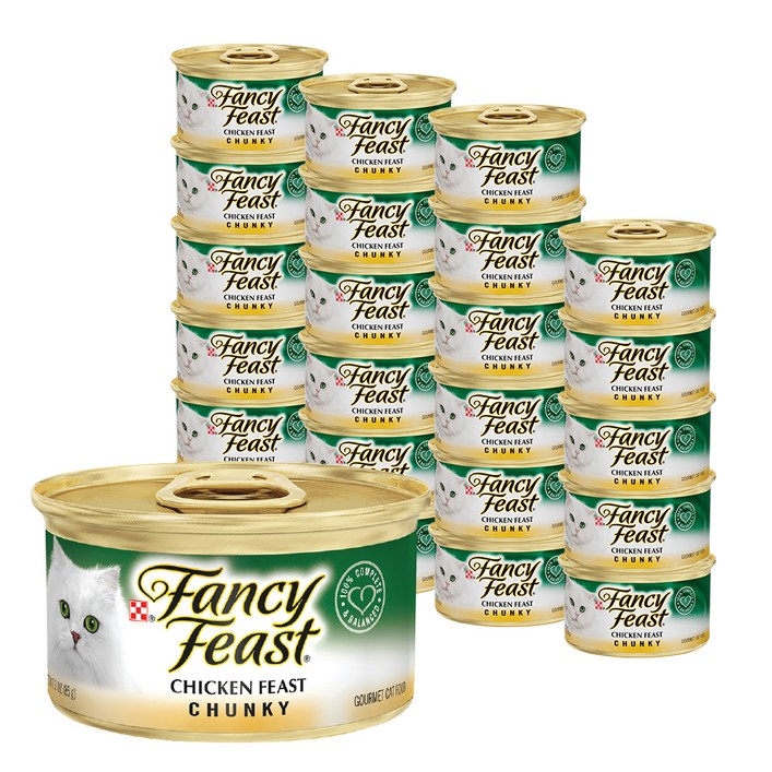 팬시피스트 3개월 이후 고양이 청키 주식캔