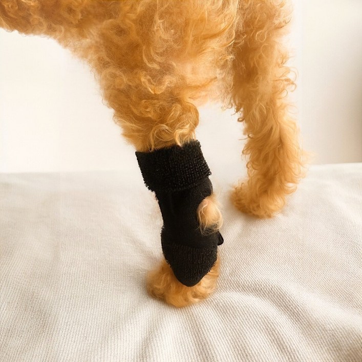 하루잡화 착용이 간편한 강아지 슬개골 보호대 S