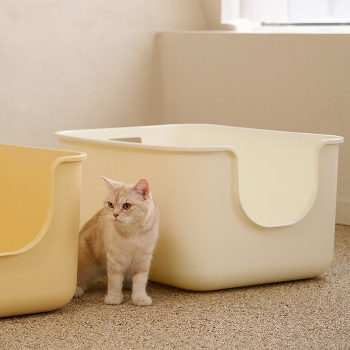 [본사직영/당일출고]강집사 초대형 플러스S 고양이화장실, 1개, 옐로