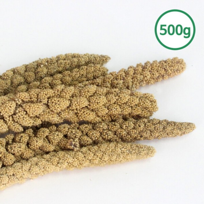 스프레이 밀렛 500g 알곡 앵무새 햄스터 소동물간식