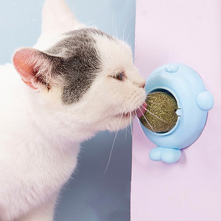 모노치 롤링볼 고양이 캣닢 사탕 캣잎 캔디 반려묘 냥이 공 장난감, 1개