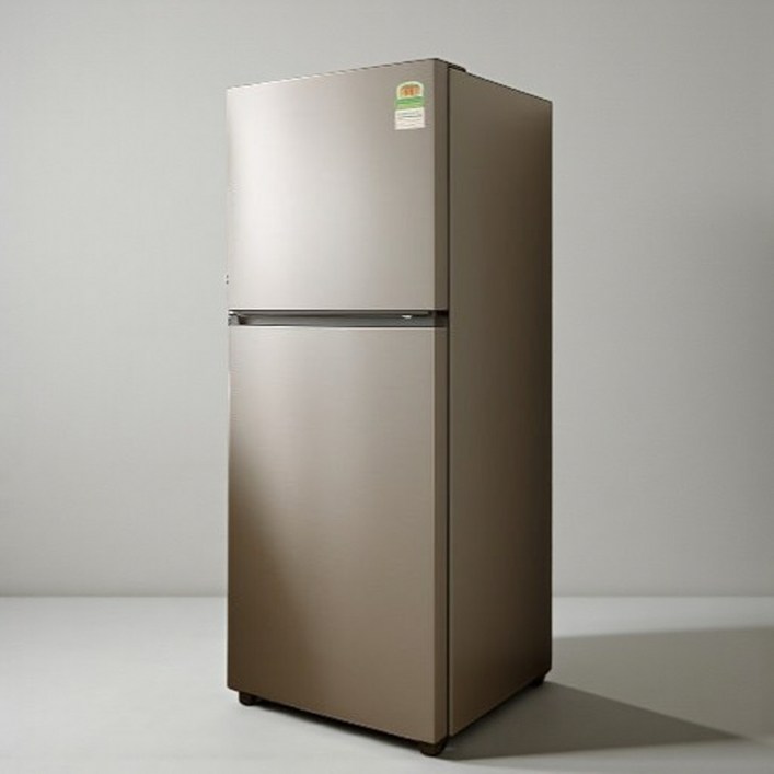삼성전자 일반 냉장고 1등급 스마트싱스 300 리터