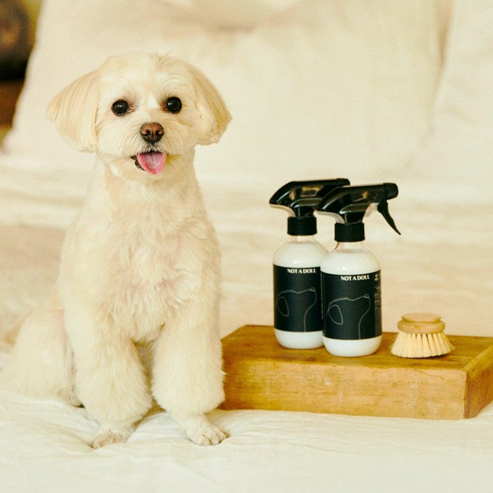 낫어돌 강아지 크림미스트 저자극 아토피 발바닥 진정보습 비듬 컨디셔닝 자외선 워터리스, 2개, 300ml