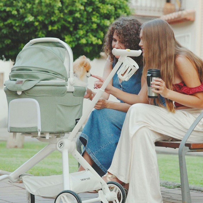 베베로드 TT 프리미엄 강아지 애견 유모차 분리형 접이식 캐리어, 1개, 베베로드 TT 그린