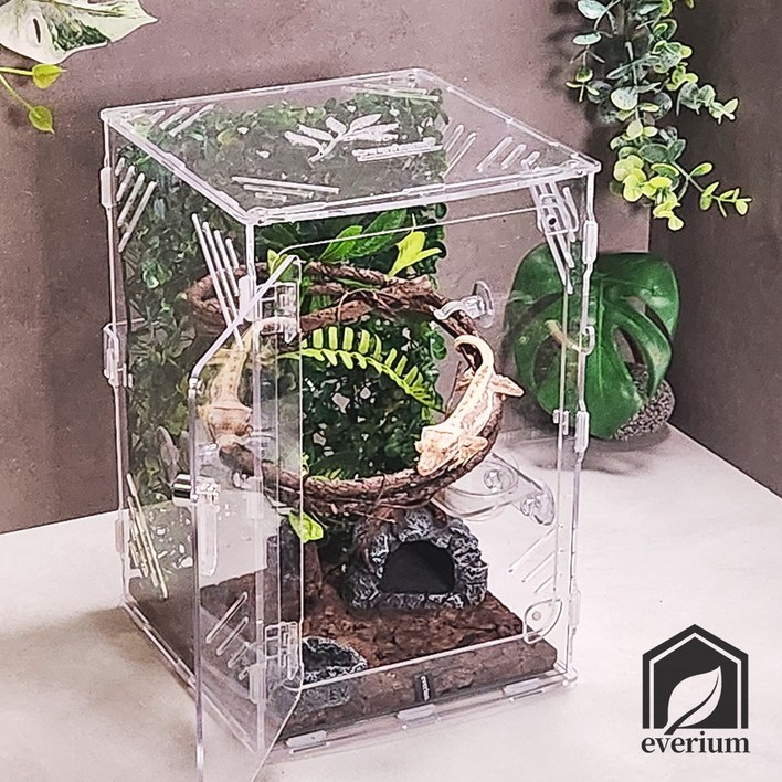 에버리움 크레스티드 게코 도마뱀 아크릴 사육장 세트  소형 20x20x30cm