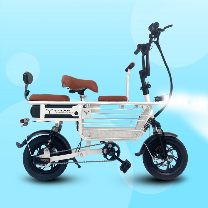전동스쿠터 3인용 전기자전거 강아지 애견 에코드라이브 타이탄 스쿠터600 자이언트자전거
