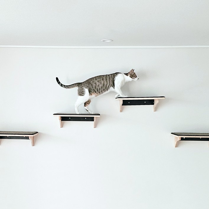 파파냥 스크래쳐 고양이 선반 캣스텝 캣워크 캣워커 기본형 고양이벽선반