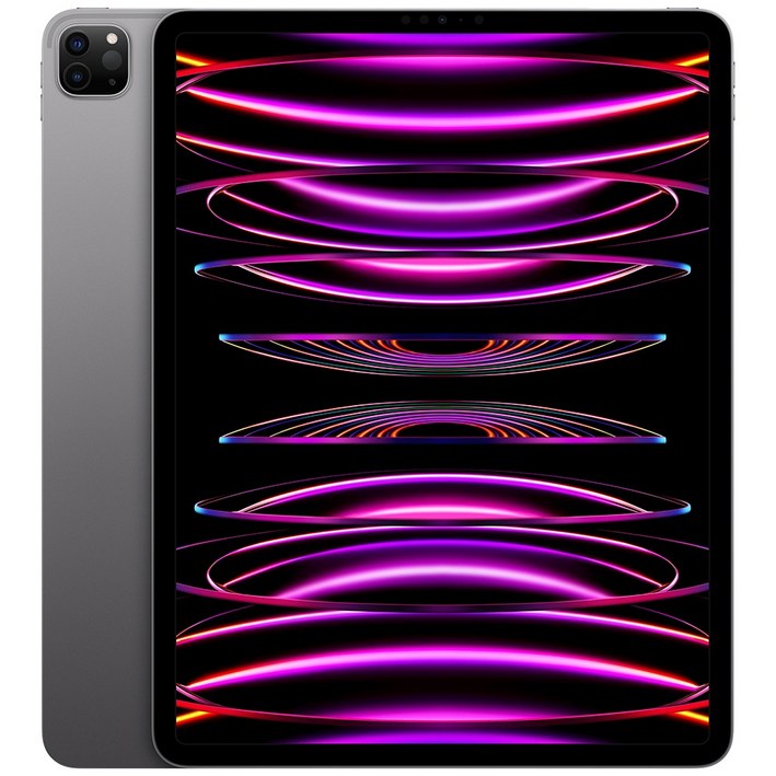 Apple 정품 2022 아이패드 프로 12.9 6세대 M2칩, WiFi, 스페이스그레이, 128GB