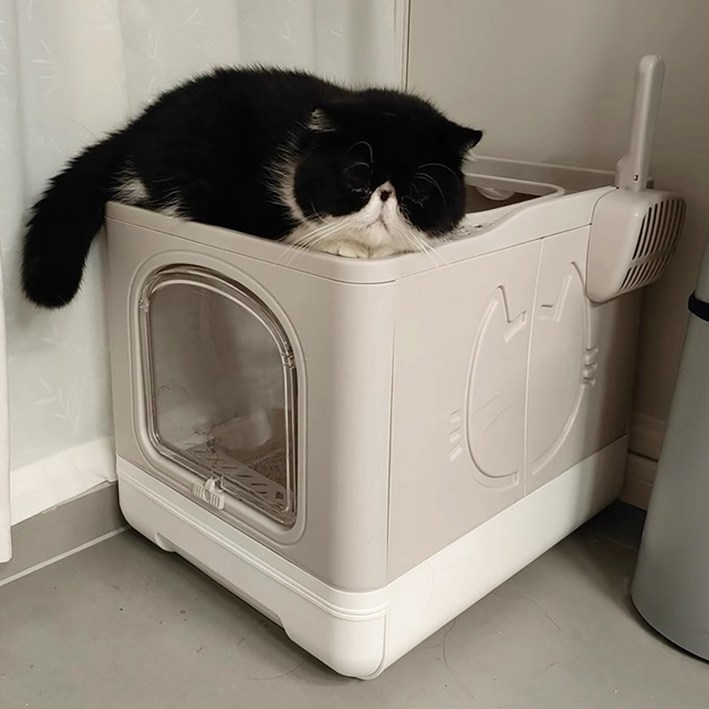 PET MOMENT 고양이 탑도어 후드형 화장실 서랍형 편리청소 냄새방지 특대형 더블도어 사막화방지 모래삽발판거름망, 베이지, 1개