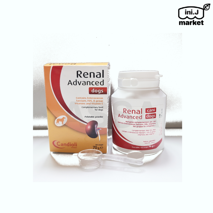국내정품레날어드밴스드 독 70g 독스 강아지 신장질환 보조제매장