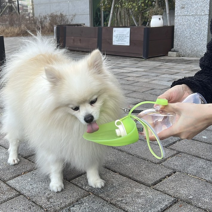 뉴에이지 댕댕이 휴대용 잎모양 물통 산책용 실리콘 접이식 보틀, 1개, 그린