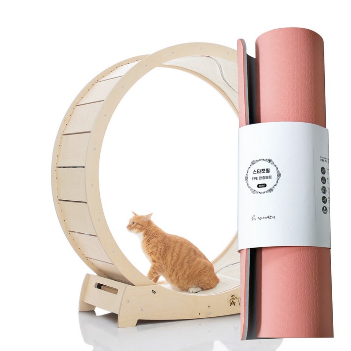 집사의반격 스타캣휠 1060 캣휠 물고기캣휠