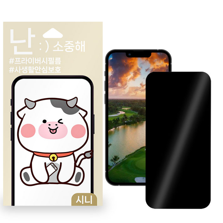 아이폰12 미니 사생활보호필름 핸드폰필름 액정보호필름, 2개입