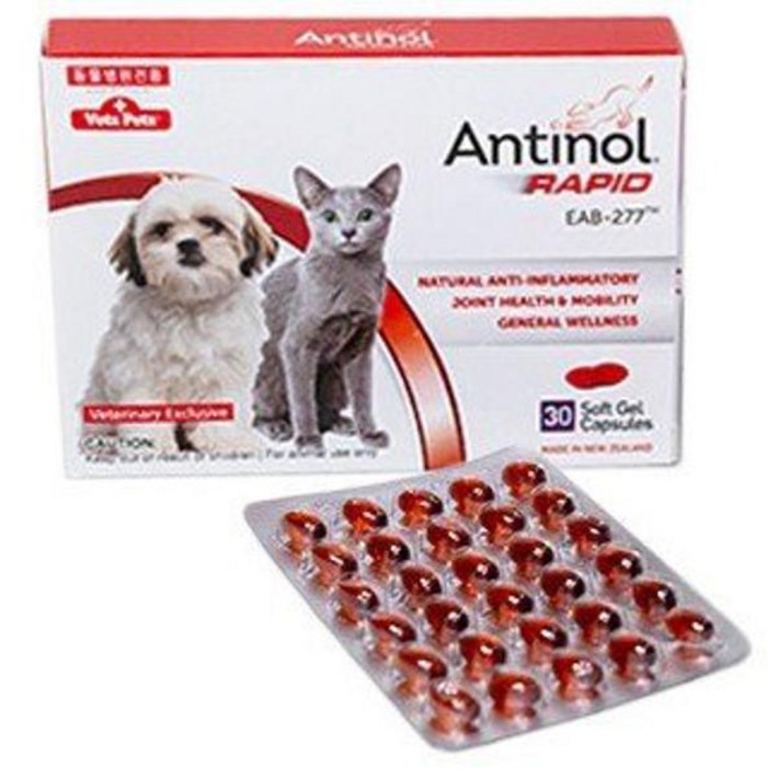 안티놀 래피드 30정 강아지 고양이 관절영양제 리뉴얼 제품 1021457 7273574598