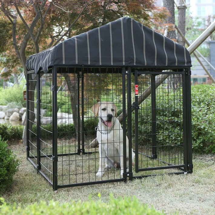 [라이프앤플러스]럭키독 야외용 소형 펫 리조트,코스트코대형견집 실외견사 대형견실내집