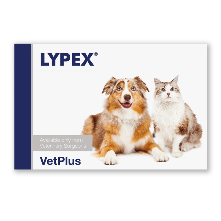 벳플러스 VetPlus 라이펙스 60캡슐 벳플러스 VetPlus 라이펙스 60캡슐