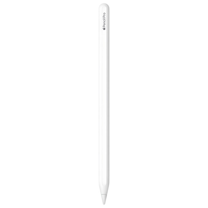 Apple 정품 애플펜슬 프로