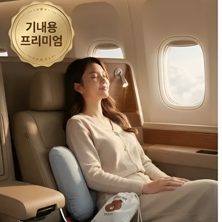 더하임 휴대용 에어 허리쿠션 기내용 휴대용 등쿠션 파우치포함
