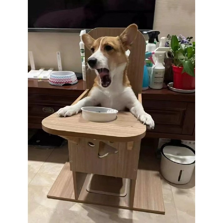 제프노 강아지식탁의자 접이식강아지식탁의자
