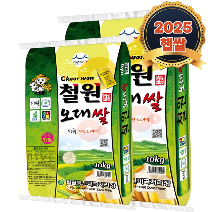 [푸른쌀농장] 25년 햅쌀 철원 오대쌀 - 4KG / 10KG / 20KG (키로 수 확인), 20kg, 1개, 상등급
