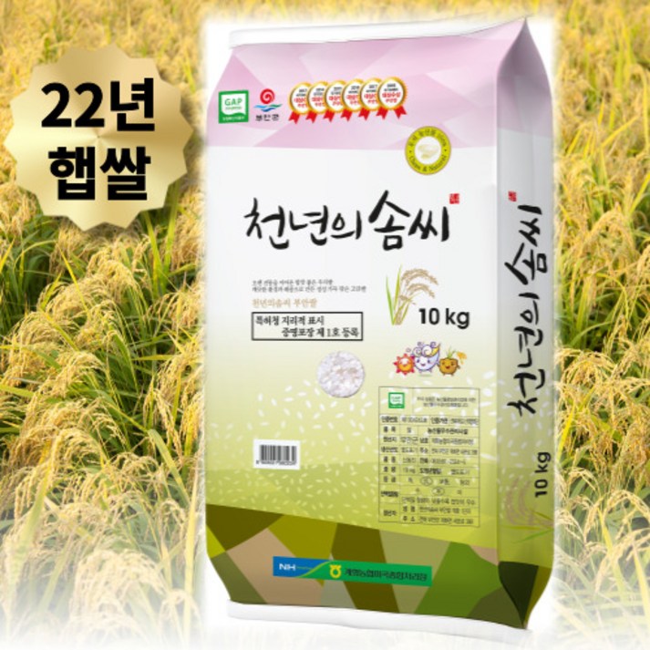 [부안로컬] 당일도정 22년 햅쌀 부안 천년의 솜씨쌀 (5kg/10kg) (계화 간척지 신동진 쌀)