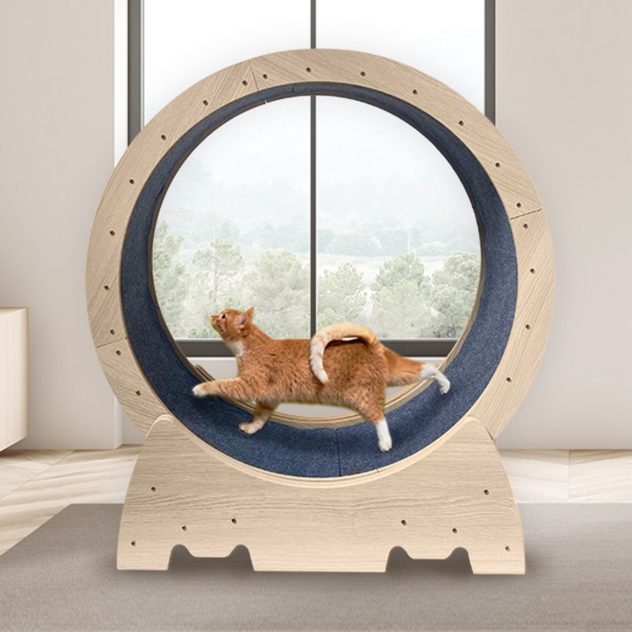 펫샵 저소음 안전 잠금장치 간단설치 우다다 캣휠