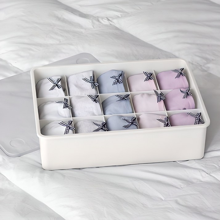 이즈리빙 칸칸칸 속옷 정리함 15칸