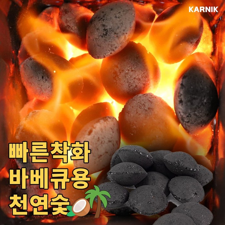 카르닉 코코넛 바베큐숯 조개탄 빠른착화, 1개
