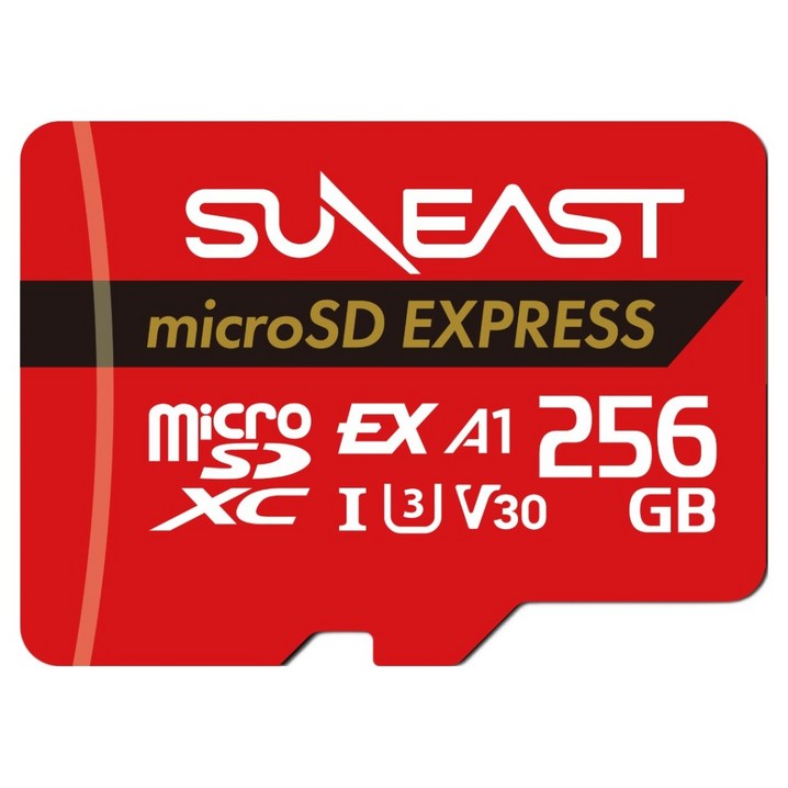 선이스트 닌텐도 스위치2 마이크로SD 익스프레스 PCIe NVMe 메모리카드 SEMSE256G20P1G, 1개, 256GB