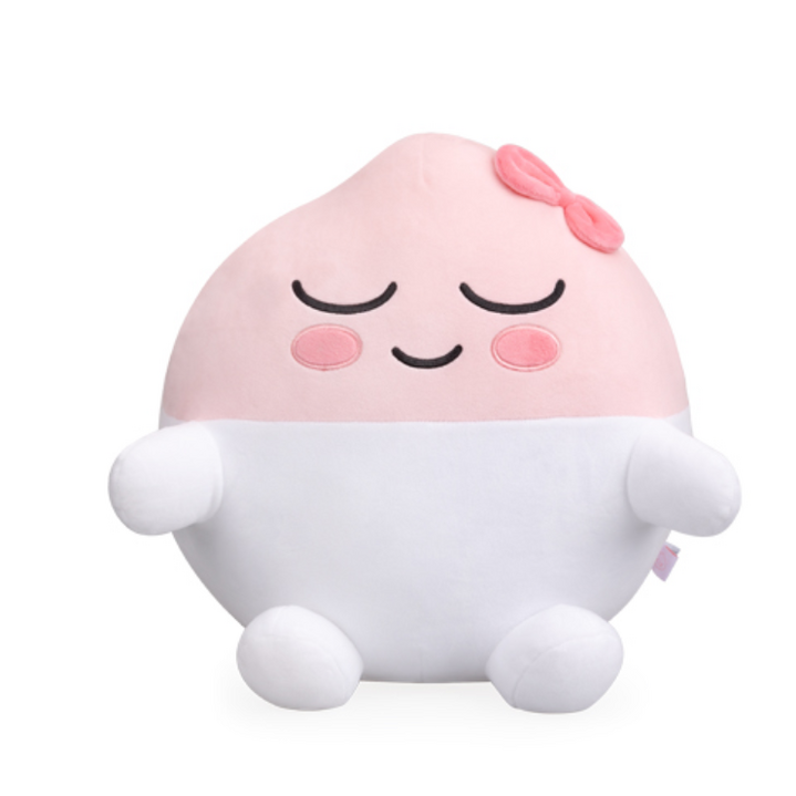 카카오프렌즈 빅 코지 쿠션