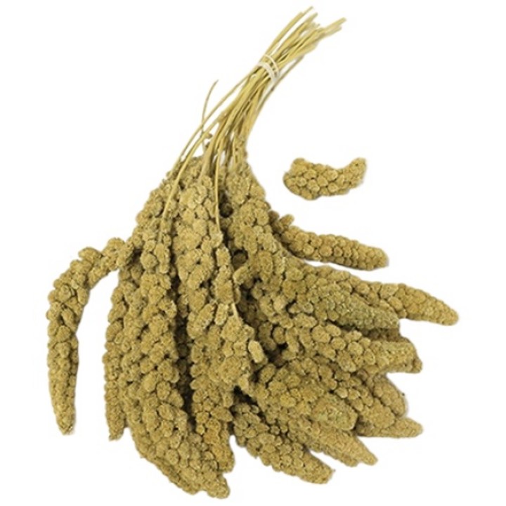 스프레이 밀렛 앵무새 간식