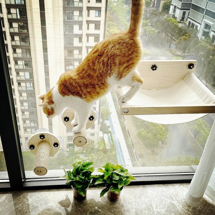 좋아하는 고양이의 안락함을 위한 창문 해먹 window cat hammock