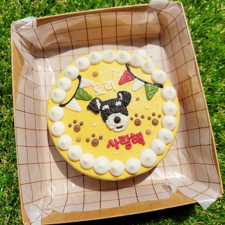 강아지 케이크초미니 사이즈 댕댕농부 강아지 수제 생일 케이크 맞춤 주문 제작. 강아지 케이크초미니 사이즈 댕댕농부 강아지 수제 생일 케이크 맞춤 주문 제작.