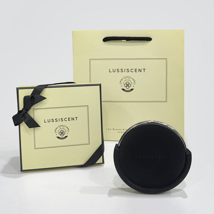 루시센트 투고 차량용 방향제 자동차 디퓨저, 아쿠아 마린, 1개