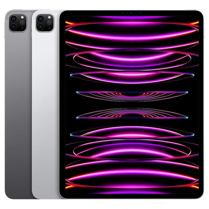 Apple 정품 2022 아이패드 프로 12.9 6세대 M2칩 Apple 정품 2022 아이패드 프로 12.9 6세대 M2칩