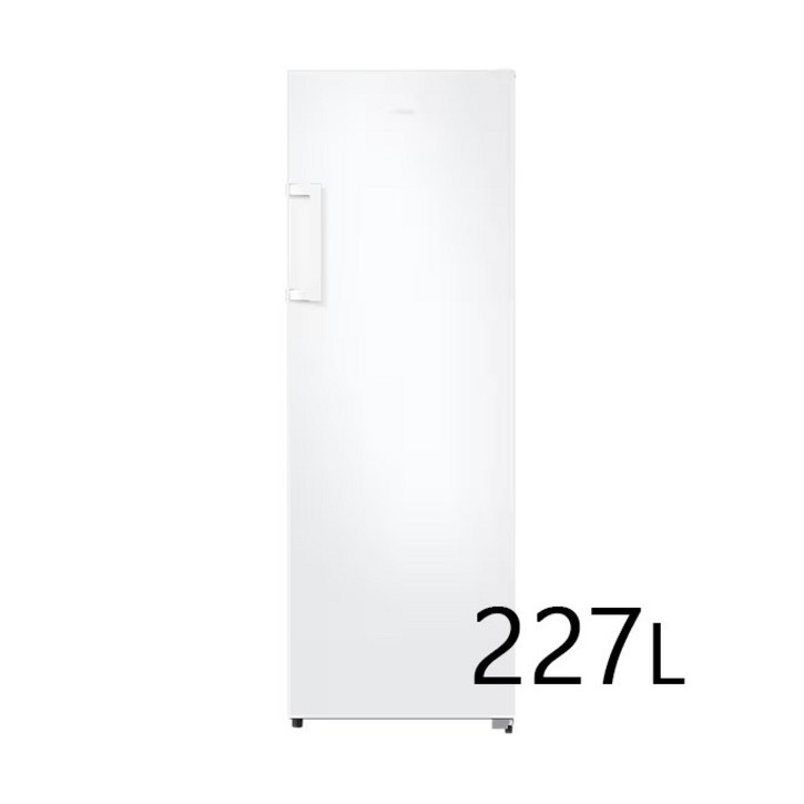 삼성전자 227L 냉동고 화이트 RZ22CG4000WW 방문설치