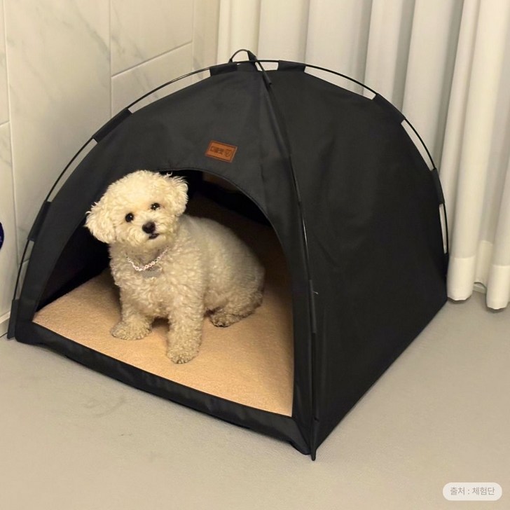 디클펫 텐트 하우스 강아지 고양이 집 사계절 숨숨집 폭신한 양면 방석 포함