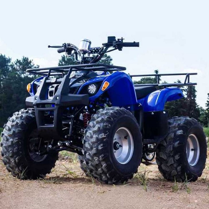 125cc 사륜 구동 오토바이 사발이 산악 ATV 바이크, 8인치2.5L 아이언 블랙