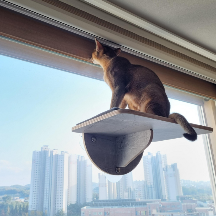 헤라우스점핑 고양이 일광욕 창문 캣타워 투명 해먹 캣워크 캣워커 캣폴, 창문 캣워커, 1개 - 투데이밈
